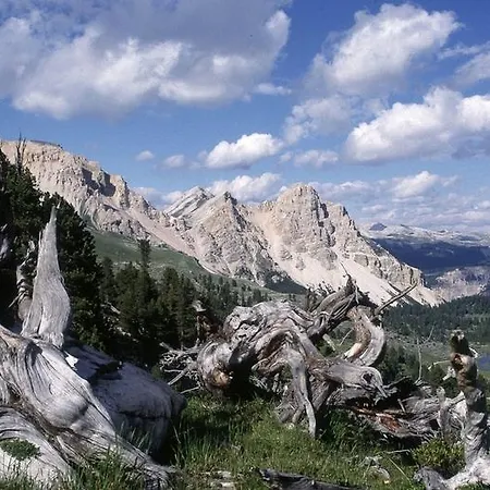 Aparthotel Dolomites Ciasa Vally 3*