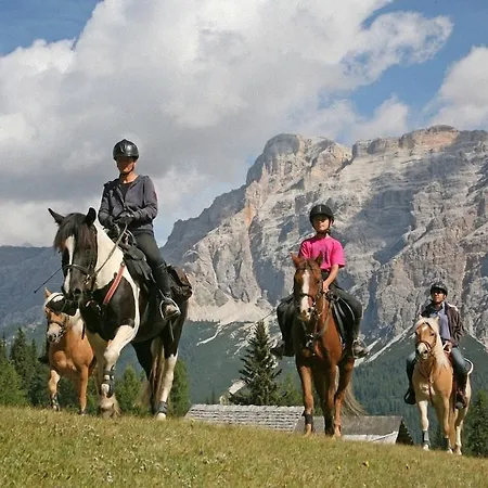 Aparthotel Dolomites Ciasa Vally