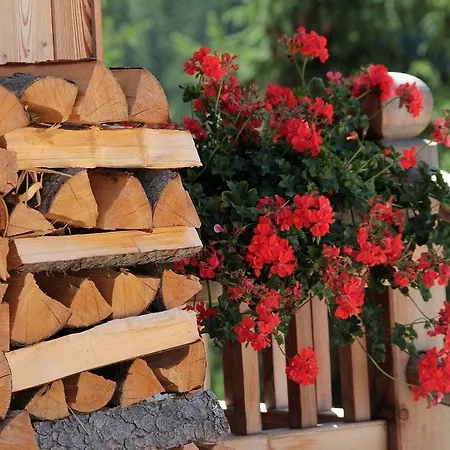 Ξενοδοχείο με διαμερίσματα Dolomites Ciasa Vally San Cassiano (Badia)